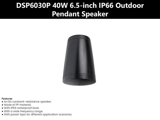 DSP6030P 40W 6.5-inch IP66 Outdoor Pendant Speaker