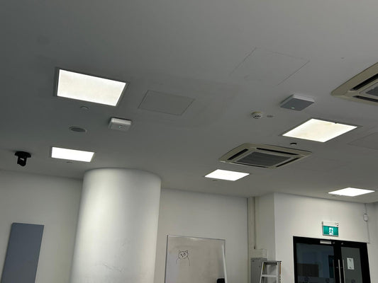 INSTALL Add On Ceiling Microphone and Ceiling Camera