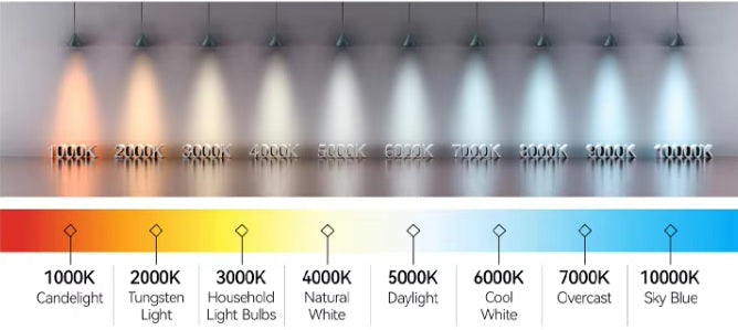 Magnetic Track Light