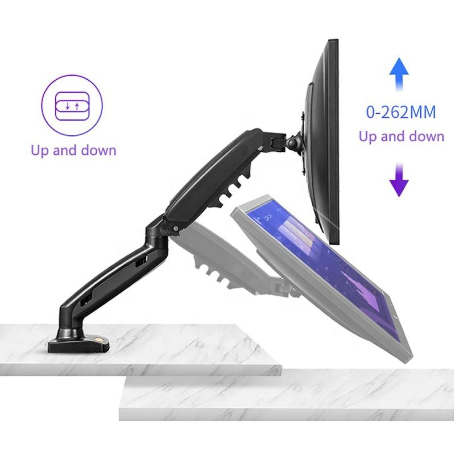 [F160] MAX Monitor Arm DUAL